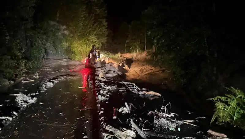Rize'de Şiddetli Yağışlar: Sel Baskını ve Heyelanlar Yaşandı, Tehlike Hala Devam Ediyor