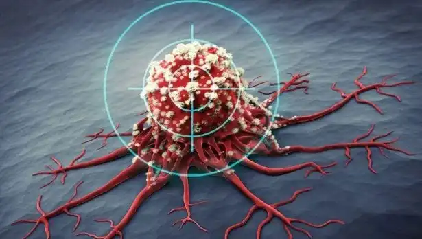 Prostat Kanseriyle Mücadelede Etkili 6 Besin: Bilimsel Kanıtlar Var