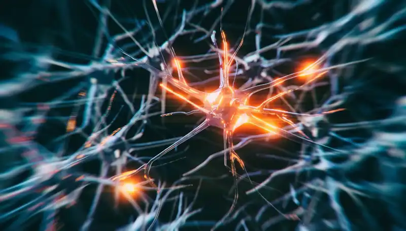 Alzheimer Vakalarındaki Çarpıcı Artışın Sebepleri ve Önleme Yöntemleri