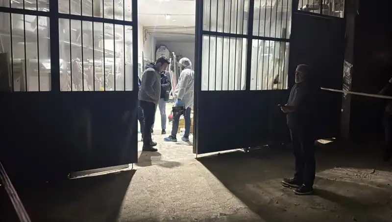 İş Yerinde Tüyler Ürperten Cinayet: Gerçekler Ortaya Çıktı