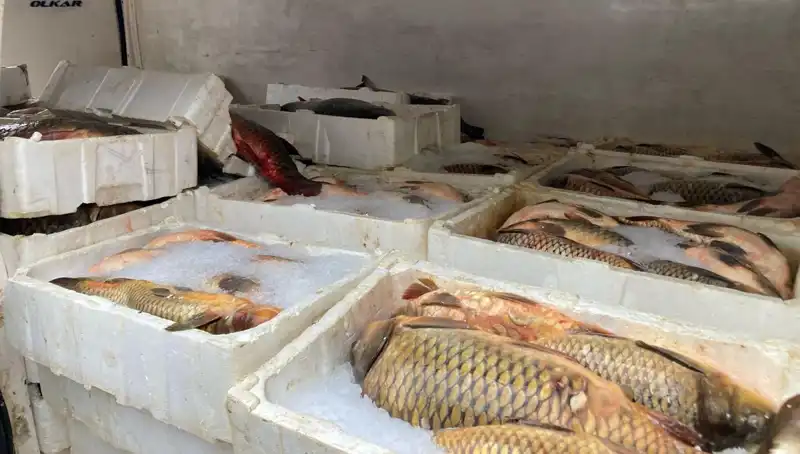 Kaçak Balık Avına Yakalananlara Binlerce Lira Ceza Kesildi