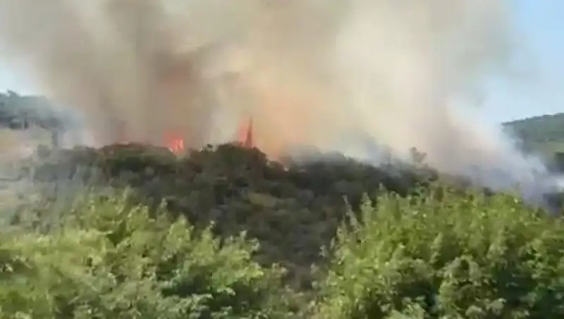 İstanbul’da Korkutan Orman Yangını: Tahliyeler Başladı!