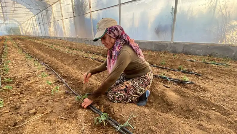 Çocuklar Geleceği Yeşerten Fidelerle Buluştu: Her Gün 6 Saat Çalışıyorlar