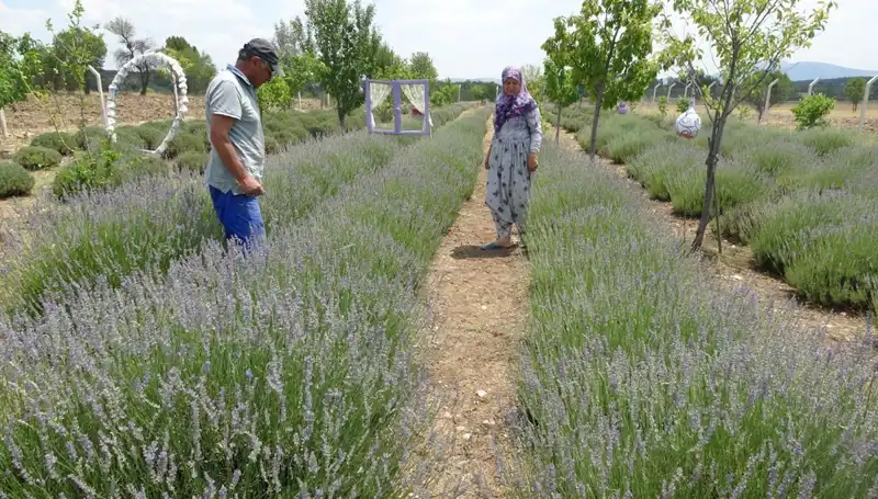 Hobiyle Başladı, Şimdi Geçim Kaynağı Oldu: Başarı Hikayeleri