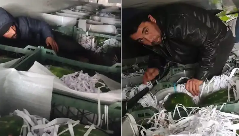 Karpuzların İçinden Çıkan Göçmenler: Sınırda Şok Edici Olay