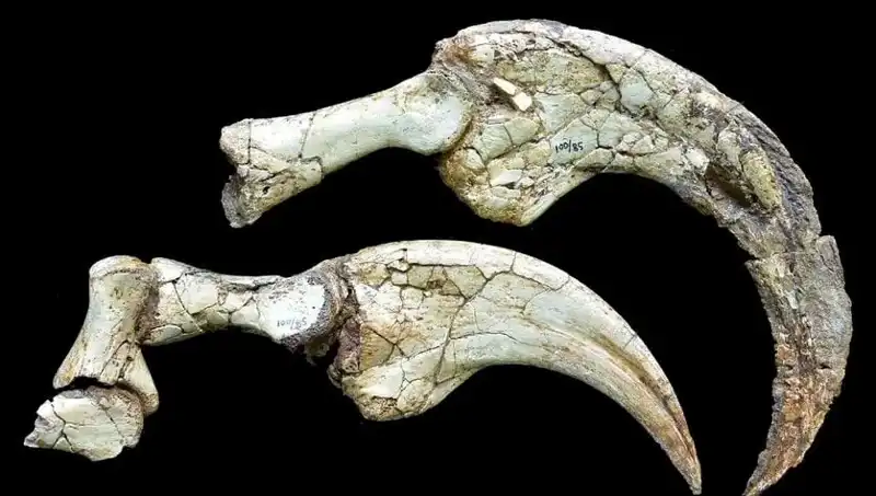 Gobi Çölü'nde Eşsiz Bir Keşif: Yeni Dinozor Türü Dikkat Çekiyor